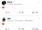 雷军宣了个锤子，这个锅是不是要程序员背？