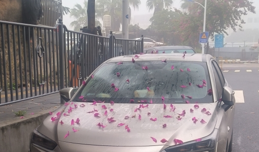 惊不惊喜，意不意外？