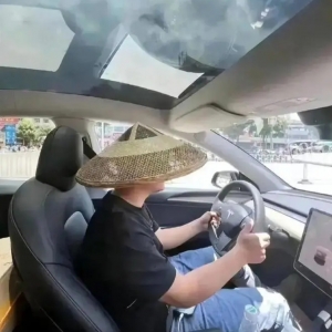 谁来治治新能源车的吹牛症？