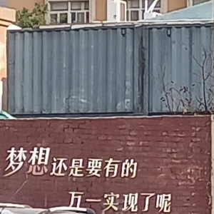 梦到还是要有的，万一实现了呢！