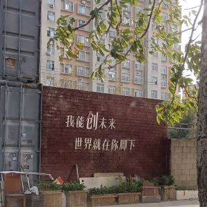 论坛发帖随手拍测试并将本帖投稿到门户图片频道