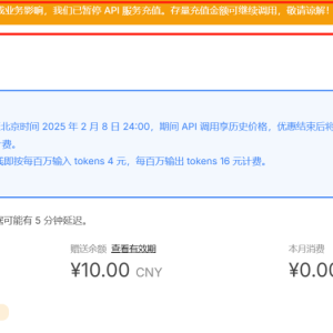 DeepSeek暂停API服务充值！美日韩印等国禁止、限制使用DeepSeek？中方回应 ... ... ...