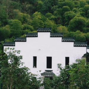 年轻人兴起“包栋过年” 山景海景别墅预订火爆